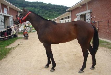 �ε帶���� ����