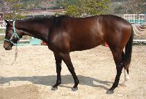 �ʷϿ��� (CHOROK YEOSIN) ����