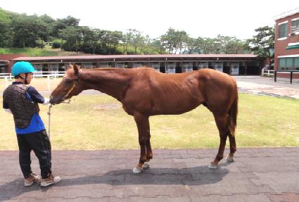 �̶�Ŭ���� ����