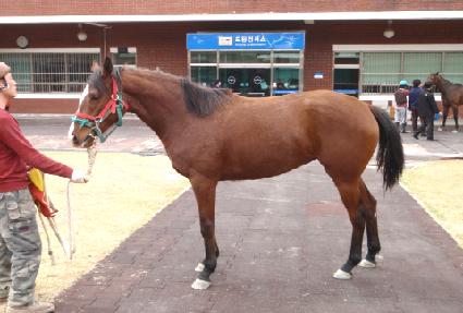 �����ʽ� ����