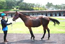 �ູ�Ǳ� (HAENGBOGUI GIL) ����