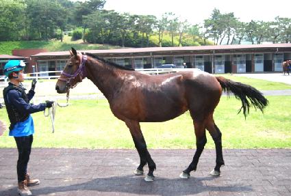 �ູ�Ǳ� ����