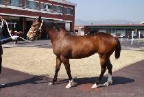 �̶�Ŭ���� (MIRACLE DAY) ����