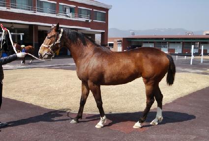 �̶�Ŭ���� ����