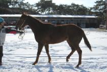 �񵵹��н� (VEDOVA PASS) ����