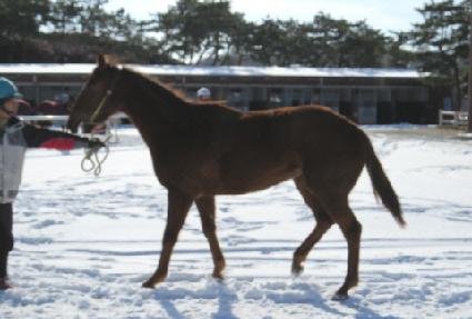 �񵵹��н� ����