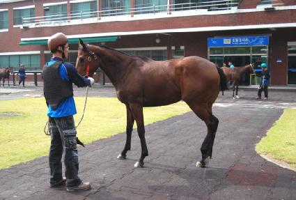 �������Ʈ ����