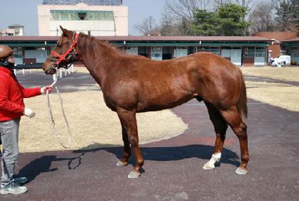 �̶�Ŭ���� ����