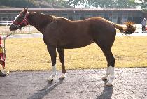 ī���� (KAISER) ����