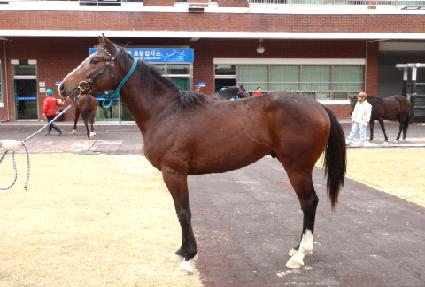 �̶�Ŭ���� ����