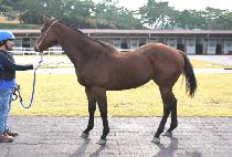 �������Ŀ� (OTTUGI POWER) ����