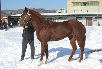 ������������ ����