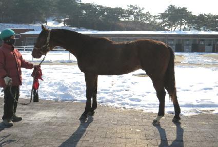 ���̱� ����