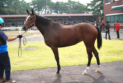 �̶�Ŭ���� ����