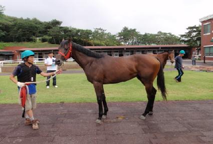 ȯ���Ǻ��� ����