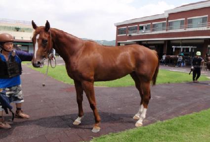 ����Ȧ�� ����