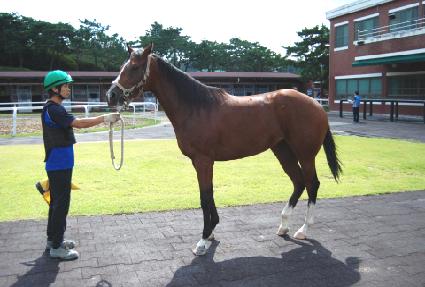 õ�� ����