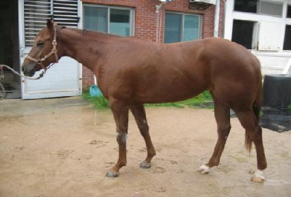 �������� ����