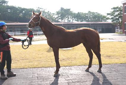 Ŭ�������� ����