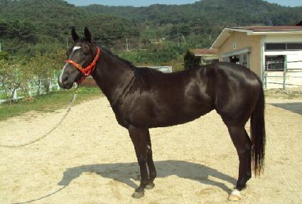 ���ǽ��� ����