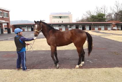 �ɼҴɴ� ����