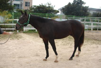 ���μ����� ����