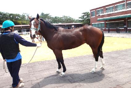 ��꺸�� ����