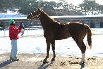 Ŭ������� (CLEAN UP VALUE) ����