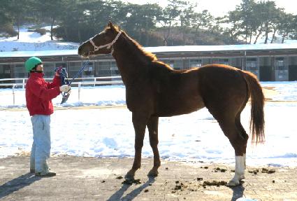 Ŭ������� ����