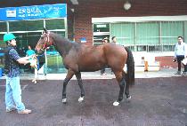 ��¿��� (USEUNG YEGAM) ����