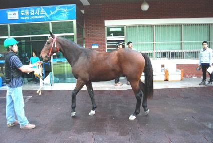 ��¿��� ����