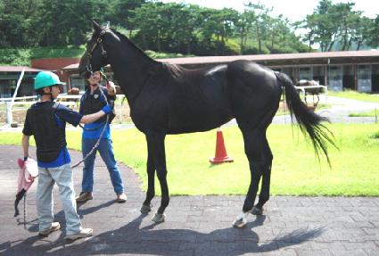 õ������ ����