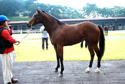 ��ġ����Ʈ ����