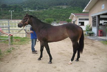 ���׽�Ʈ��ũ ����