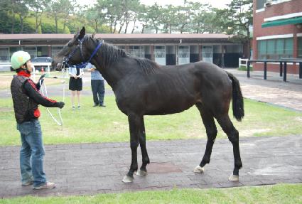 ����Ĺ ����