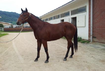 �������� ����