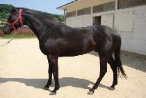 ������� (DAESEUNG CHUKJE) ����