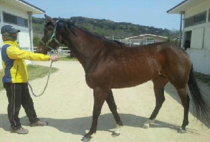 �ִ밭�� ����