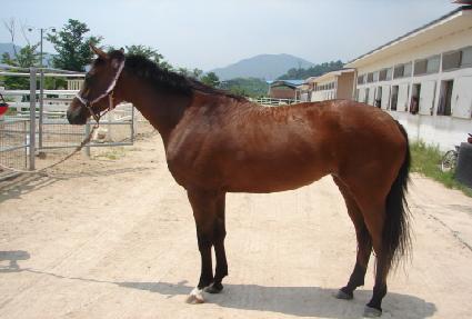 ���̵�޴� ����