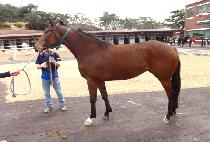 ��Ű��Ʈ (WAUKEE TANT) ����