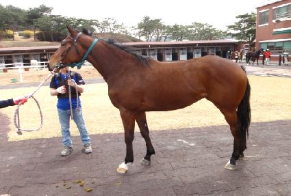 ��Ű��Ʈ ����