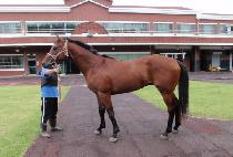 �����꼺 (GARAM SANSEONG) ����