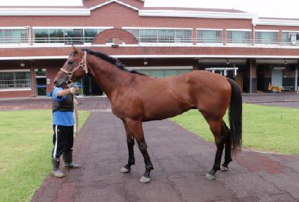 �����꼺 ����