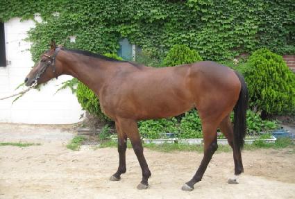 ��ٸ��� ����