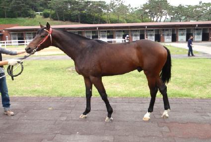 �Ƹ����� ����