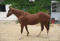 ������� (YEONGWON BISANG) ����