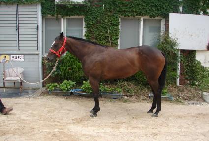 �¸���ǳ ����