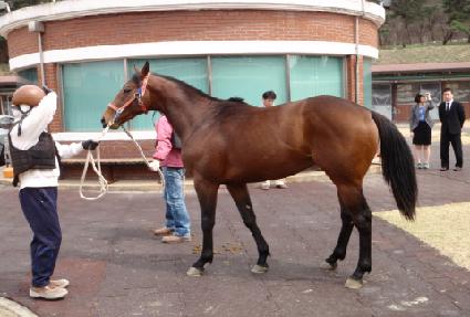 ��Ű����Ʈ ����