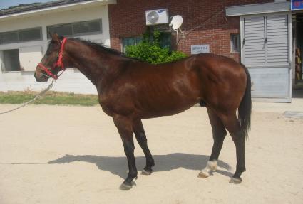 ���ĵ����� ����