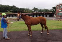 �߿����� (JUNGWON CHUKJE) ����